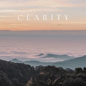 麻豆链接在线观看
