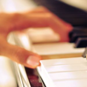 麻豆链接在线观看
