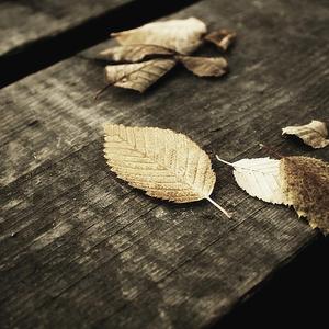 麻豆链接在线观看
